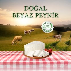 Doğal Beyaz Peynir