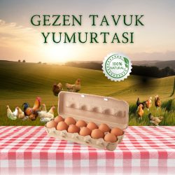 15'li Gezen Tavuk Yumurtası