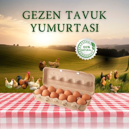 15'li Gezen Tavuk Yumurtası