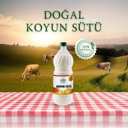 Doğal Koyun Sütü