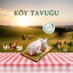 Taze Kesim Köy Tavuğu